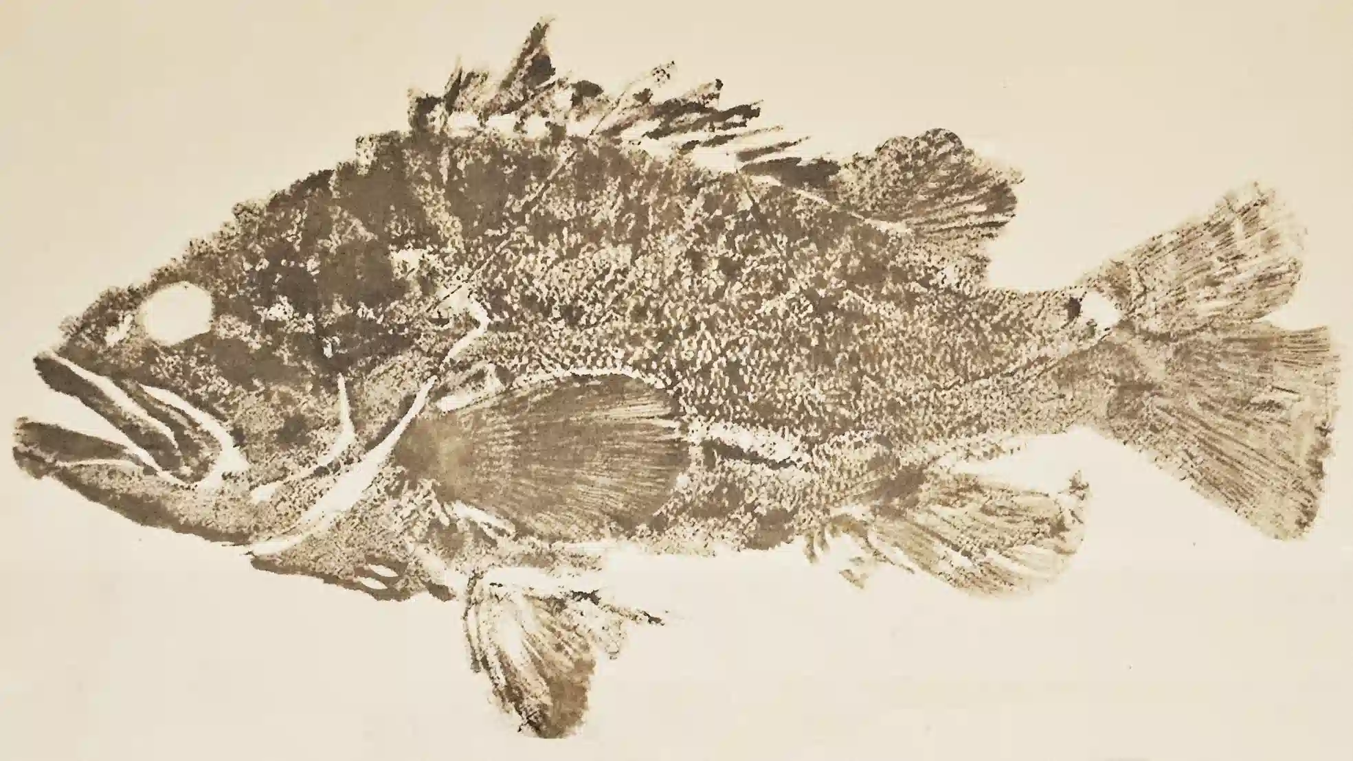 GYOTAKU (魚拓) 